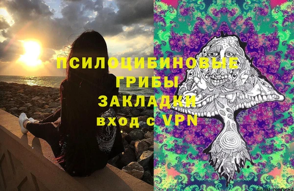 твердый Абаза