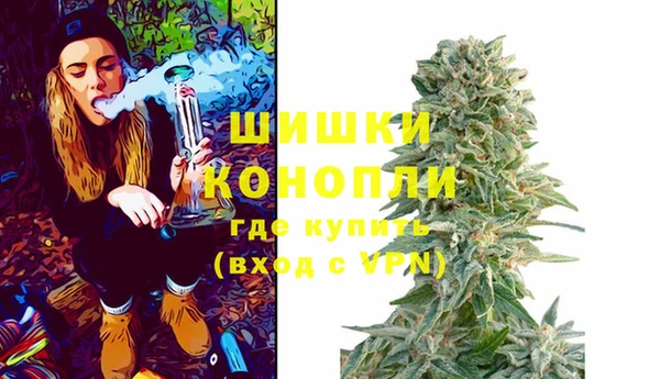 твердый Абаза