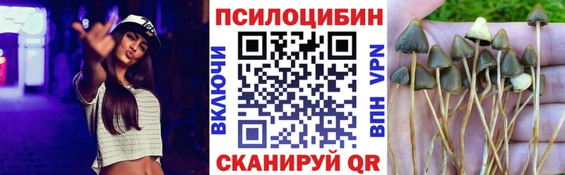 Псилоцибиновые грибы MAGIC MUSHROOMS  Углегорск 
